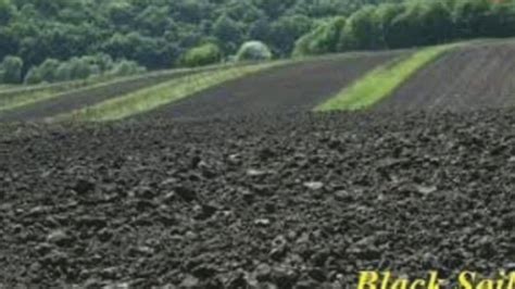 Black Soil Youtube