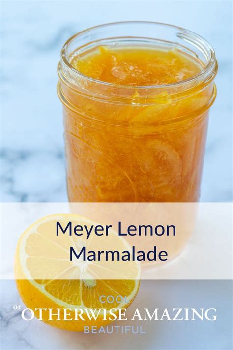 Easy Beautiful Meyer Lemon Marmalade Recipe Artofit
