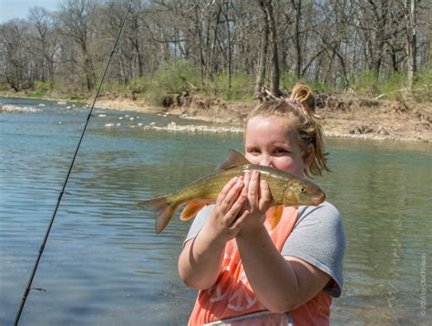 Virginia Tech Ichthyology Class Respect The Redhorse By Don Orth