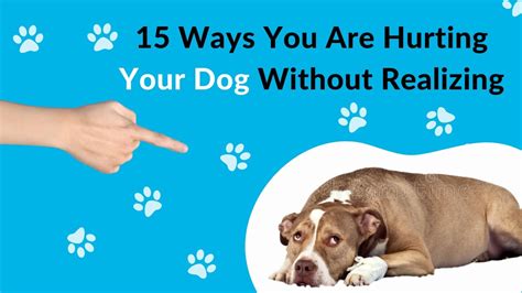 15 Ways You Are Hurting Your Dog Without Realizing Youtube