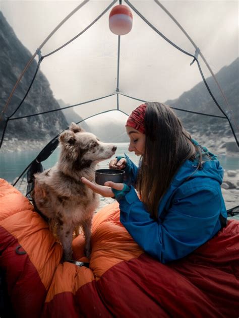 How To Camp With A Dog In A Tent Pawleaks