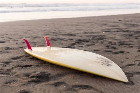 Surfboard On Sand Stock Photo Image Of Fin Surfing 26748524