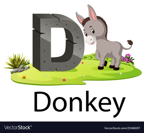 Download letter d images and photos. Zoo animal alphabet d for donkey Royalty Free Vector Image
