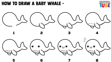 How To Draw A Whale Easy Draw It Out
