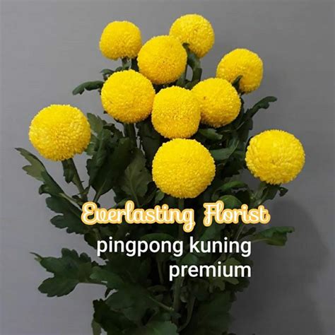 Bucket Bunga Ping Pong Pingpong Kuning Yellow Flower Bouquet Buket