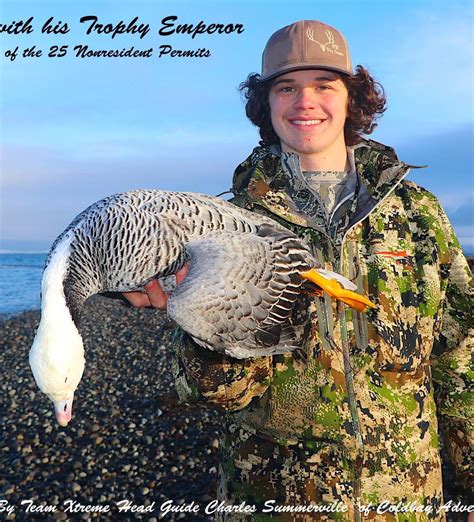 Emperor Goose Gallery Alaska Duck Hunting King Eider Hunting