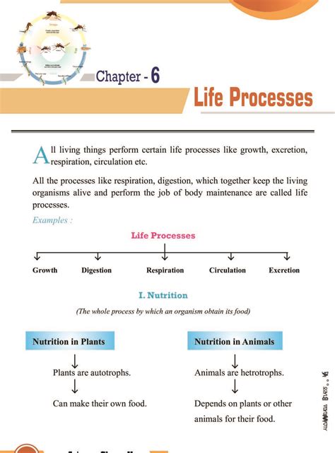 Class 10 Science Life Processes Notes Important Questions Practice