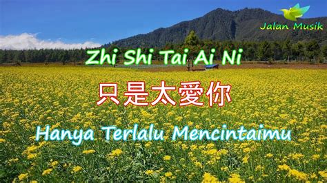 Fenni Ding 丁芙妮 Zhi Shi Tai Ai Ni 只是太愛你 Hanya Terlalu Mencintaimu