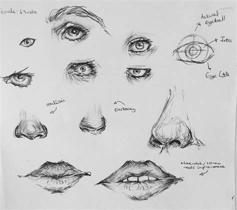 Practice Makes Perfect Sketching And Drawing Sketch Drawing Idea