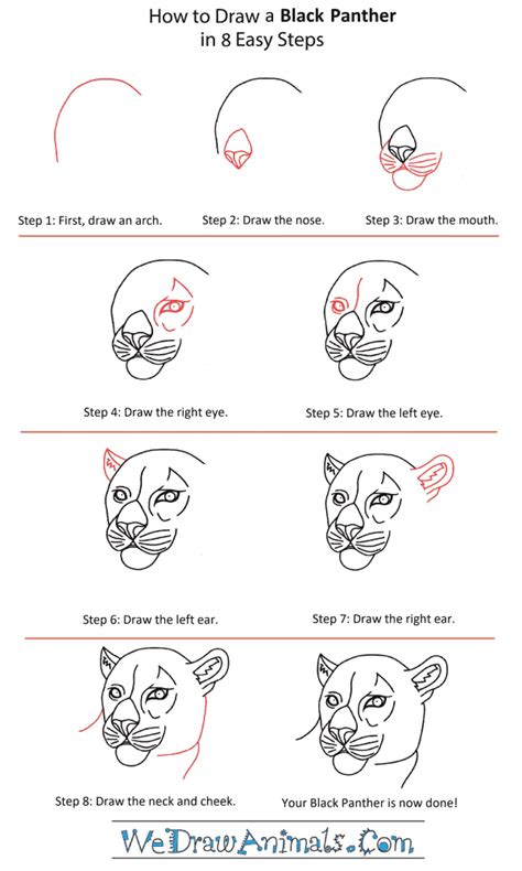 How To Draw A Black Panther Head