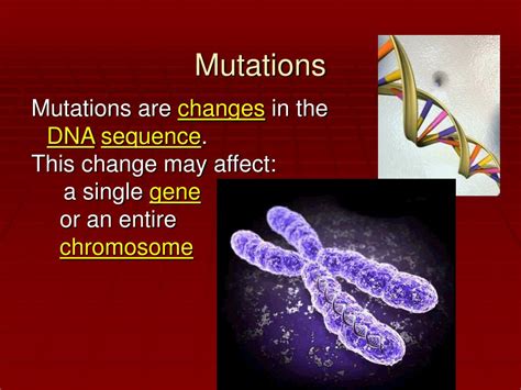 Ppt Mutations Powerpoint Presentation Free Download Id3259892