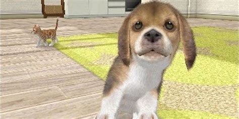 British Man Goes Viral For Rescuing Lost Nintendogs Puppies