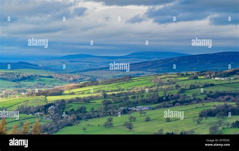 Scenic Wharfedale Countryside Green Valley Undulating Hills Upland