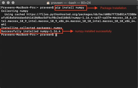 Install Python With Numpy Scipy Matplotlib On Macos Big Sur Apple Riset