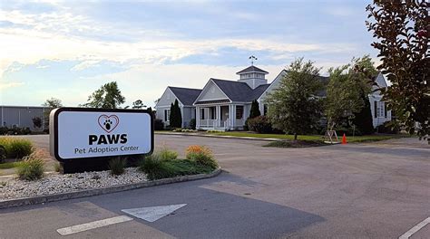 We focus on premium quality and well functional pet products which are safe to use for owners and animals. July 6, 2017 Construction Update Phase II PAWS Pet ...