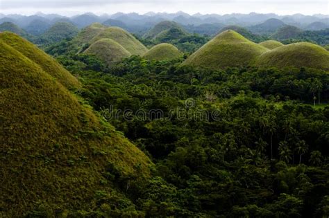 Chocolate Hills Philippines Stock Image Image Of Domes Nature