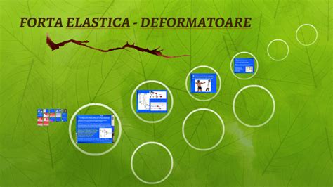 Forta Elastica Deformatoare By Lupau Delia