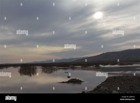 Unveiling Nature's Mirage: Behold the Mesmerizing Beauty of a Desert