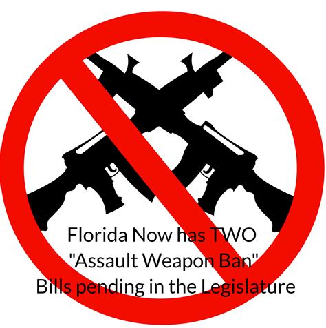 Assault Weapon Ban Legislation Pending Florida Congress The Firearm Firm
