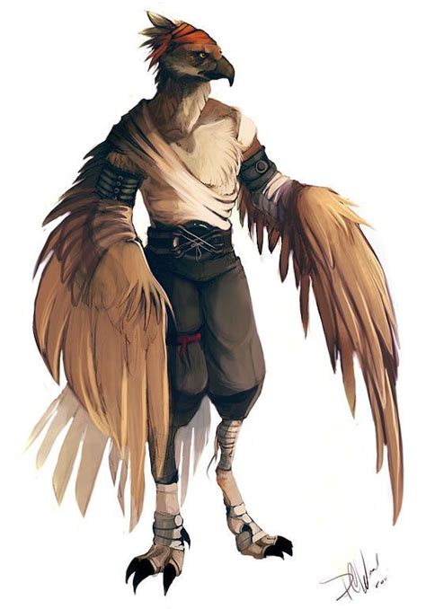 Image Result For Humanoid Bird Fantasy Character Design Character