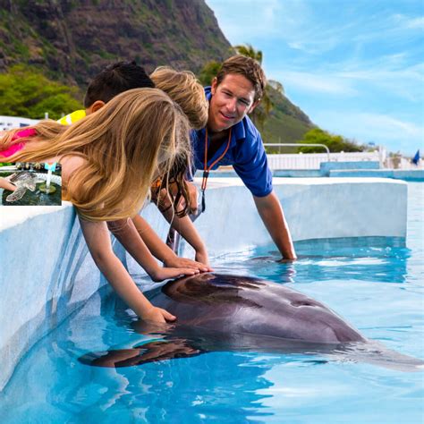Sea Life Park On Oahu An Exclusive Interview Hawaii Travel With Kids