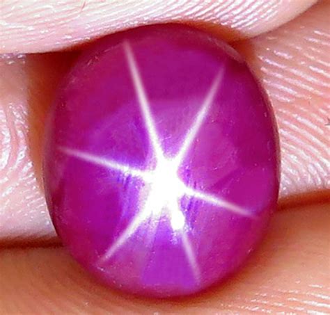 850 Carat Fiery 6 Ray Star Ruby Cabochon 12x10mm Oval Natural Ruby