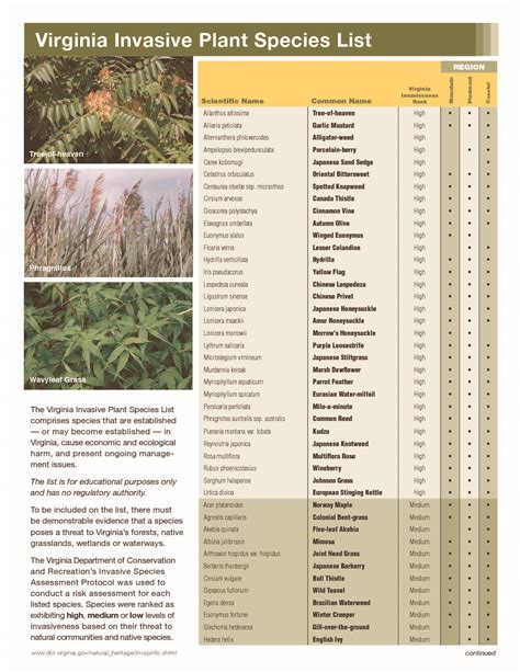 Maryland And Virginia Invasive Species List Cromwell Valley Park Council
