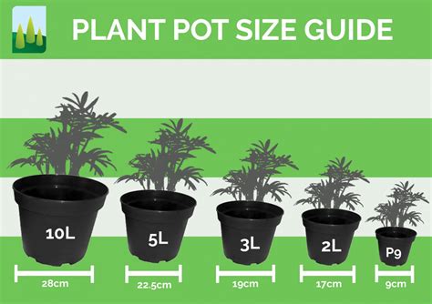Plant Pot Size Guide Commercial Nursery Johnsons Of Whixley Home