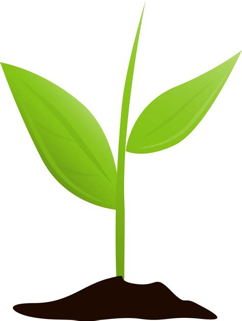 Get Started And Grow Plant Growing Transparent Clipart Full Size