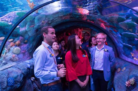Sea Life Malaysia Is Now Officially Open At Legoland Malaysia Resort