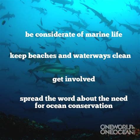 10 Ways To Help Save The Ocean One World One Ocean With