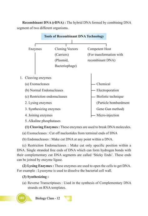 Biotechnology Principles And Processes Notes For Class 12 Biology Pdf