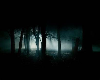 Dark Darkness Titles Woods Forest Gloomy Night