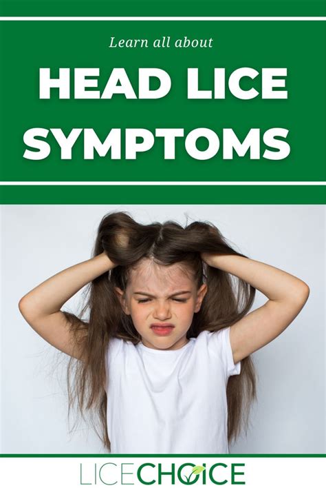 Do You Know About The Plethora Of Symptoms Of Head Lice Read About