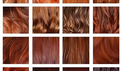 Wella Education on Instagram: “Client: I want to be a #redhead. Us
