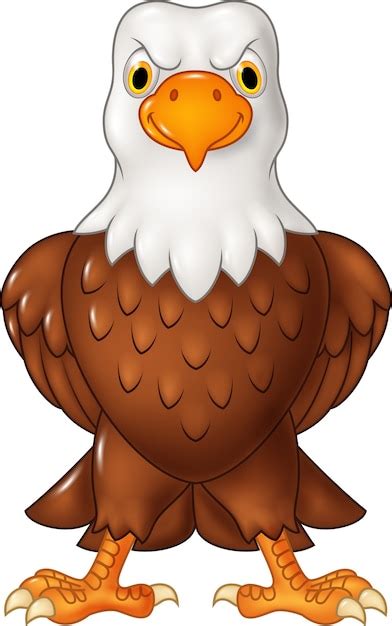Premium Vector Cartoon Bald Eagle Posing Isolated On White Background