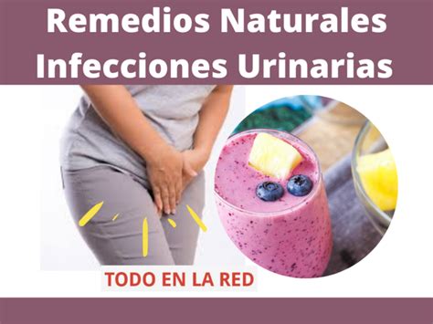 remedios naturales contra las infecciones urinarias todo en la red