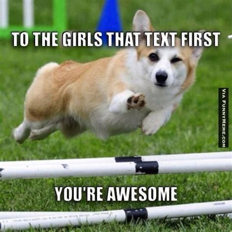 Dog Memes Youre Awesome Dog Memes Motivational Memes Corgi