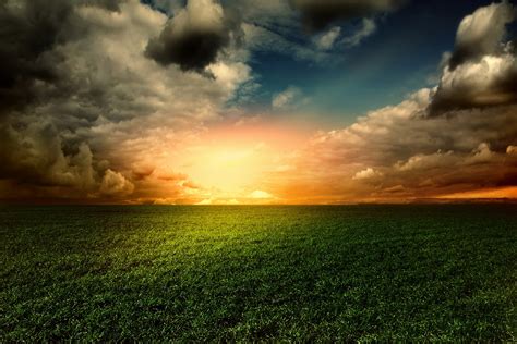 Field Sky Background