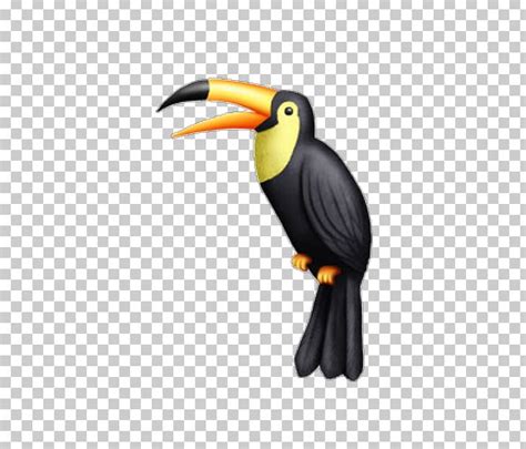 Toucan Beak Hornbill Png Clipart Beak Bird Hornbill Piciformes