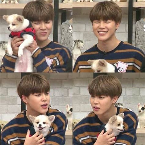 There are lots of trick to find out perfect name for a perfect male pets. 5 Korean Male Celebrities Competing In Cuteness With ...