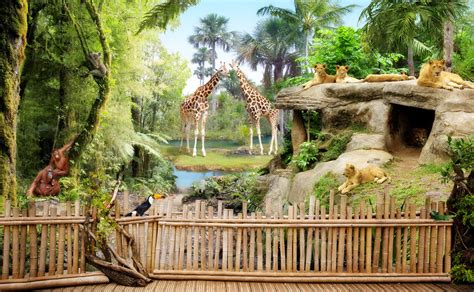 Zoo Animals Hieno Julistetaulu Photowall