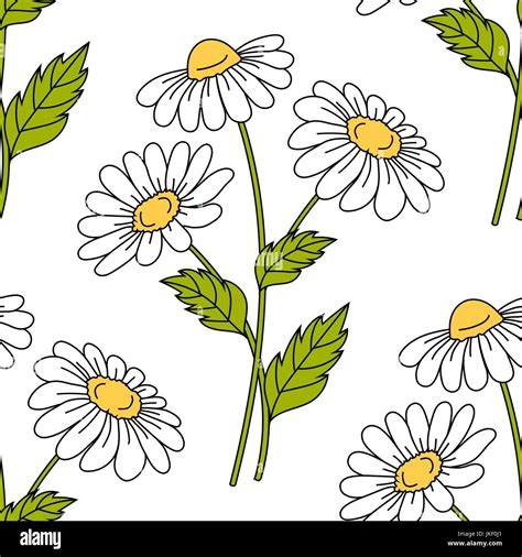 Seamless Pattern With Daisy Flowers Stock Vector Image Art Alamy