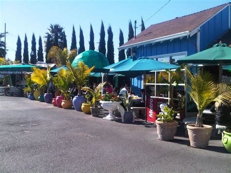 Maybe you would like to learn more about one of these? Dia De Pesca - Awesome lunch place for fish tacos in San ...