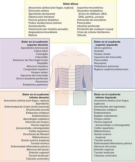 Diagnóstico Diferencial De Dolor Abdominal Basado En La Ubicación Med