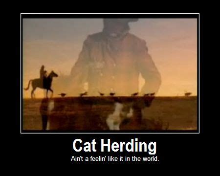 Herding cats gifs get the best gif on giphy. Herding Cats Quotes. QuotesGram