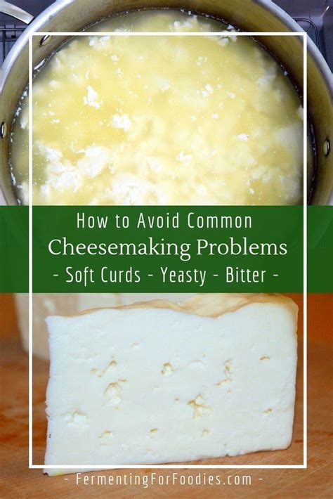 Cheesemaking Problems And How To Solve Them Cheesemaking Homemade