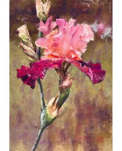 Daily Paintworks Pink Iris Original Fine Art For Sale Pamela
