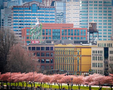 Old Town | Artistic Portland