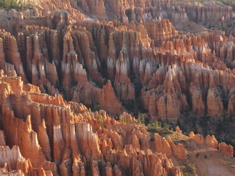 Utahs National Parks Preparing To Reopen Later This Month Heber